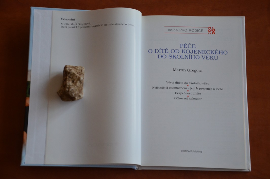 Péče o dítě od kojeneckého do školního věku