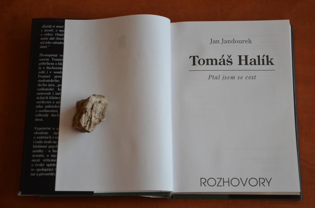 Tomáš Halík - Ptal jsem se cest