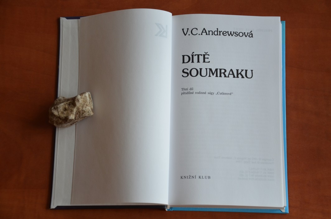 Dítě soumraku