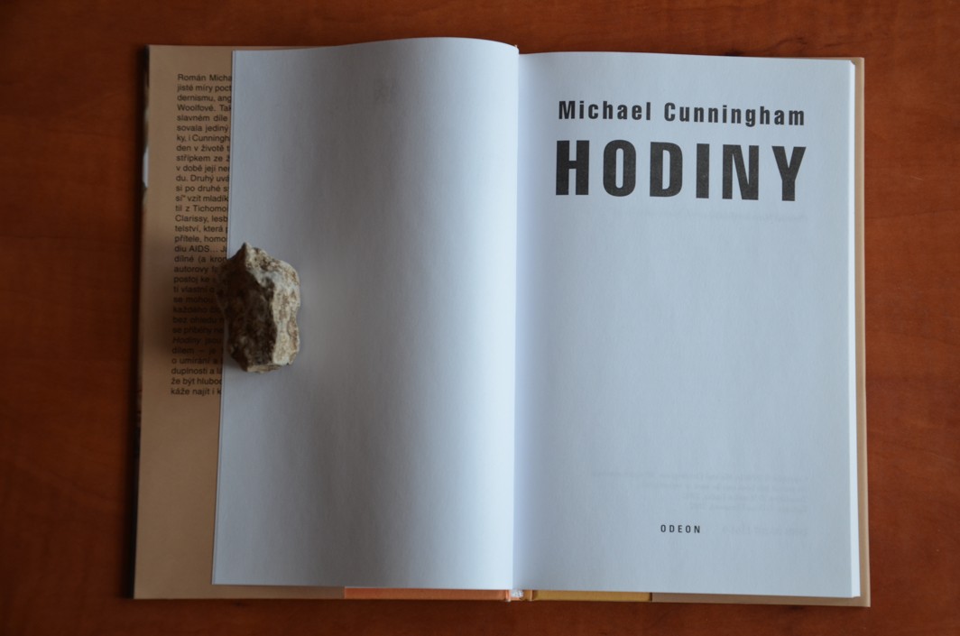 Hodiny