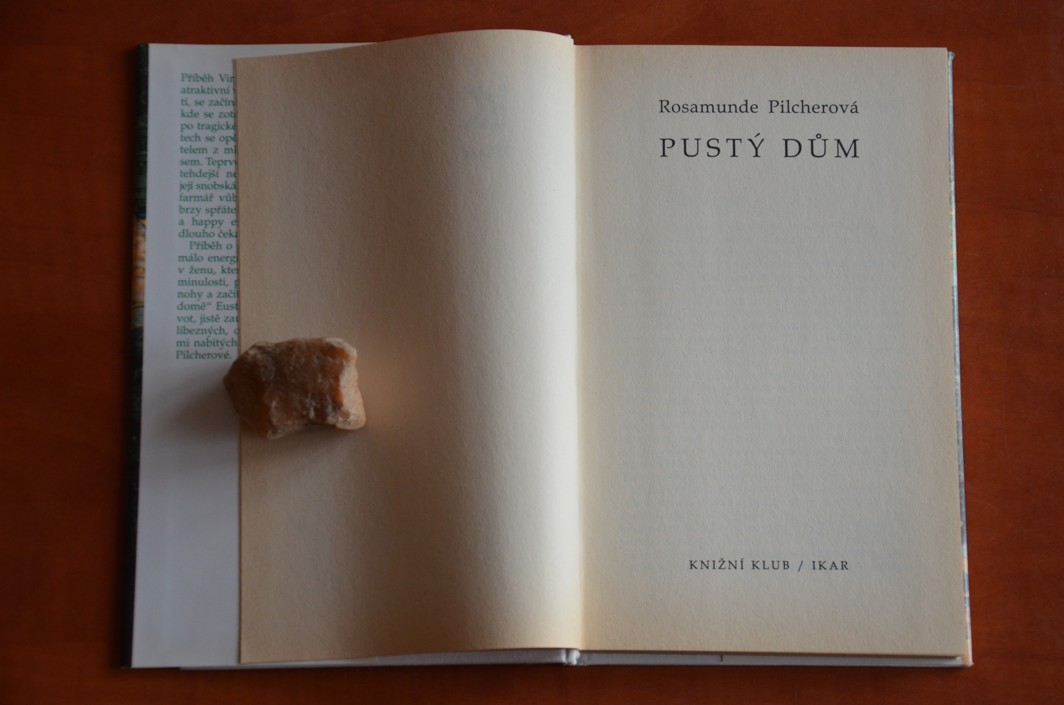 Pustý dům