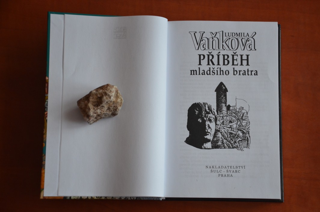 Příběh mladšího bratra