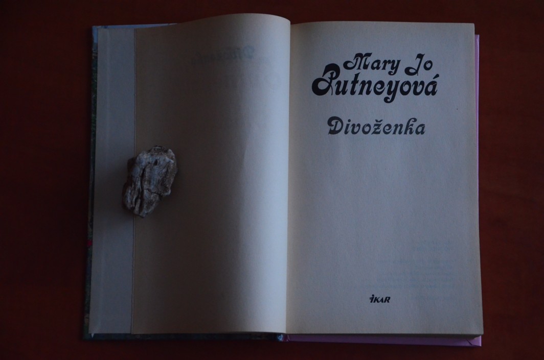 Divoženka