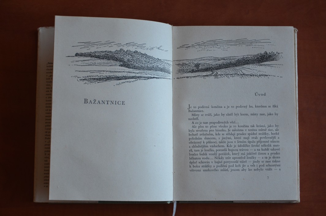 Bažantnice a jiné obrázky z přírody