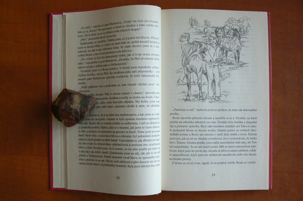 Znovu v koňském sedle