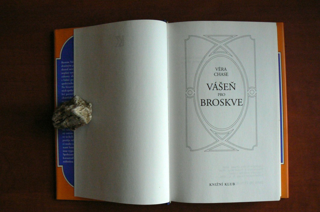 Vášeň pro broskve