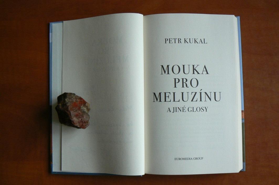 Mouka pro meluzínu a jiné glosy