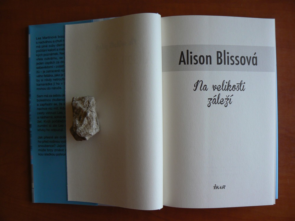 Na velikosti záleží