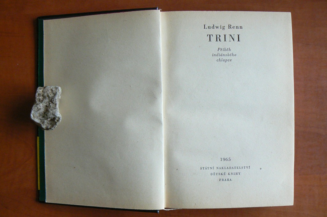 Trini - KOD svazek 81 - Ludvig Renn (1965)