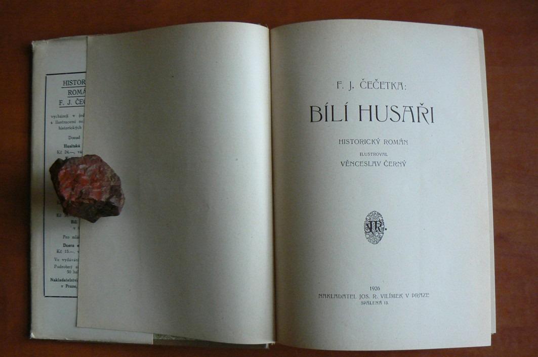 Bílí husaři