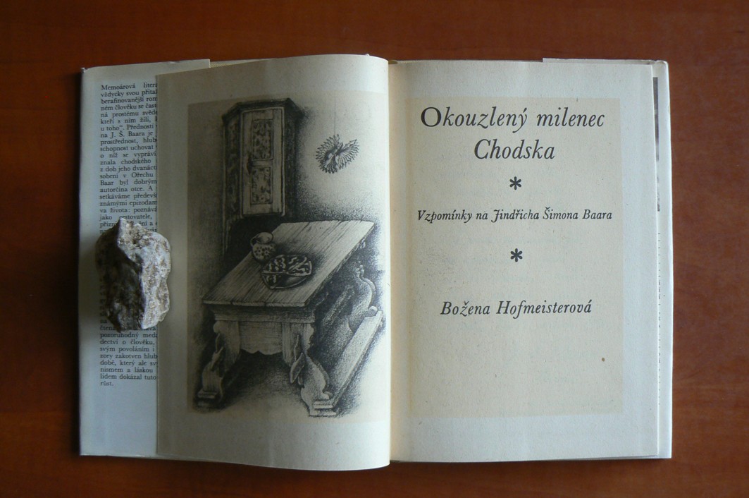 Okouzlený milenec Chodska - J. Š. Baar