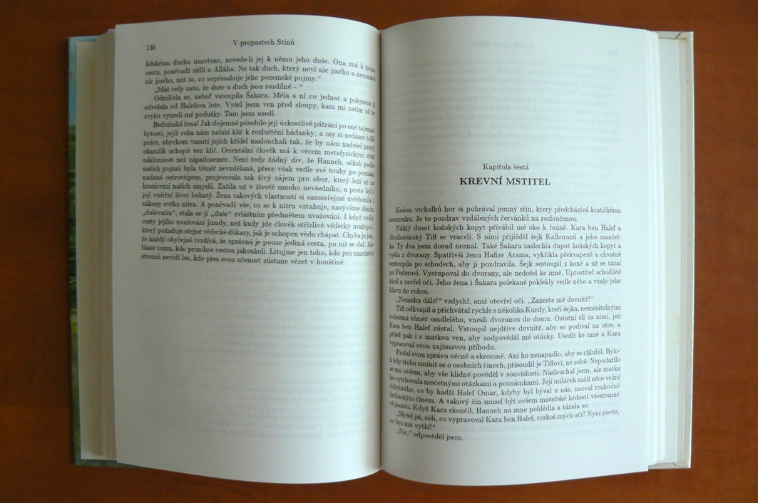 V propastech stínů