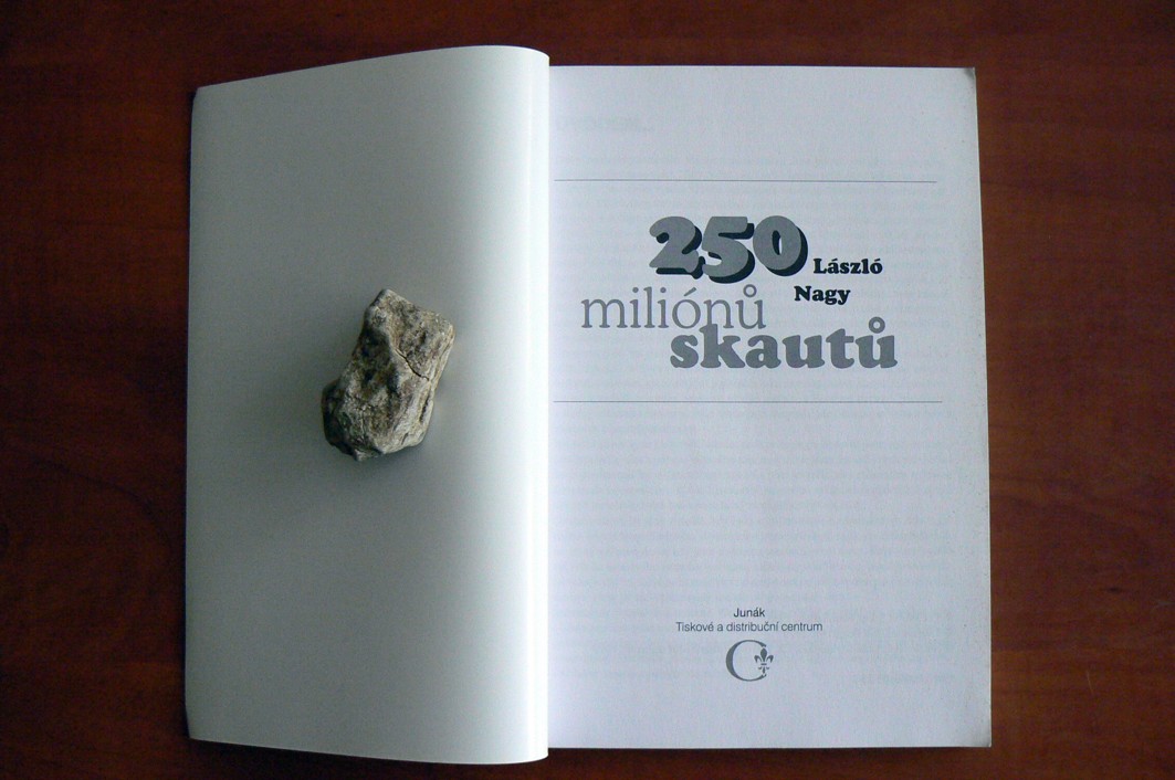 250 miliónů skautů