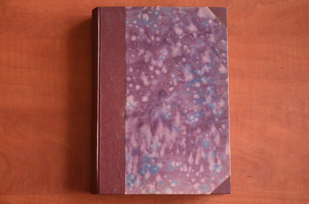 DOTAZ NĚMECKÝCH POSLANCŮ O CHOVÁNÍ SE ČESKÉHO NÁRODA ZA VÁLKY I. a II. díl