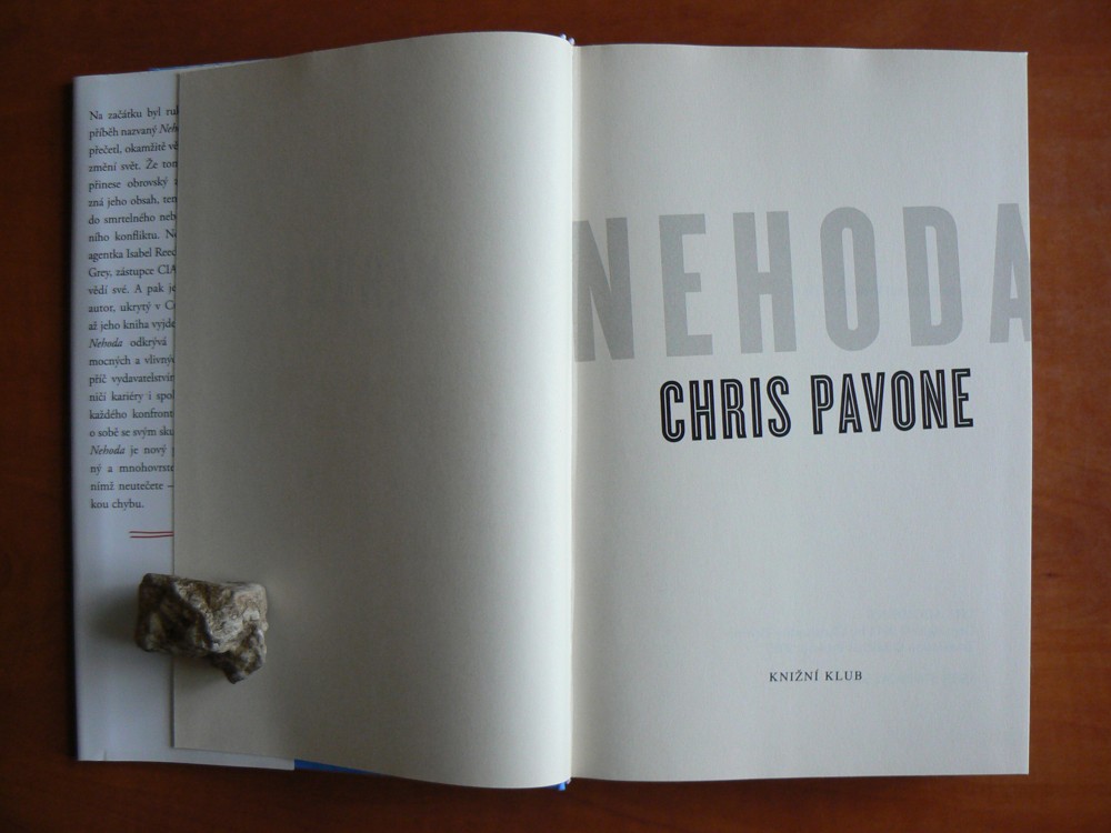 NEHODA - Chris Pavone