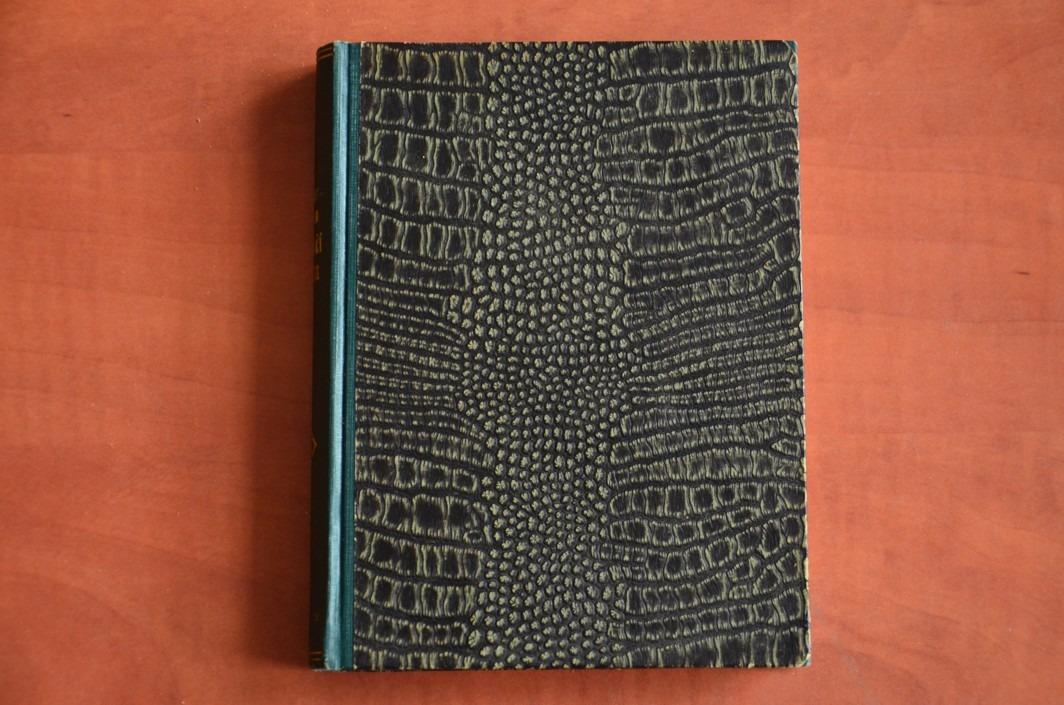 KOČIČÍ LÁVKA Hermann Sudermann (1927) krásná vazba