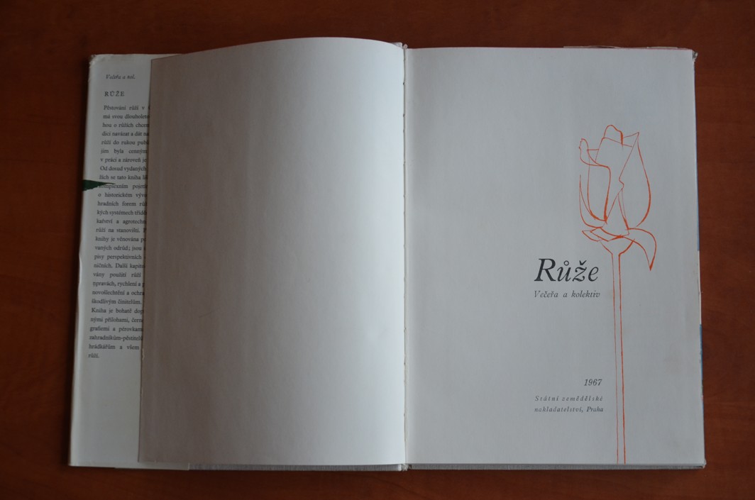 Růže (1967)