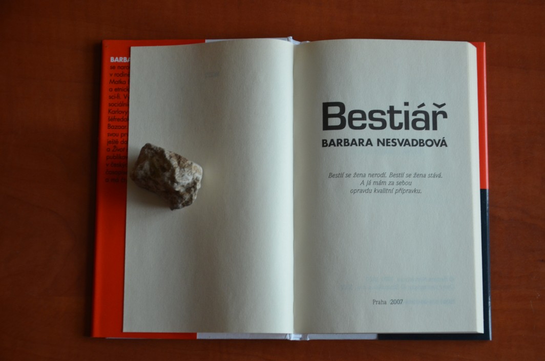 BESTIÁŘ Barbara Nesvadbová (2007)
