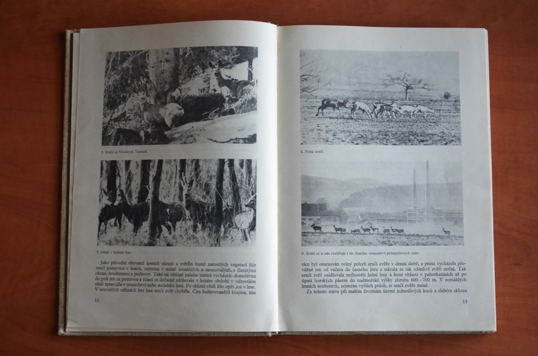 SRNČÍ ZVĚŘ Josef Nečas (1975)