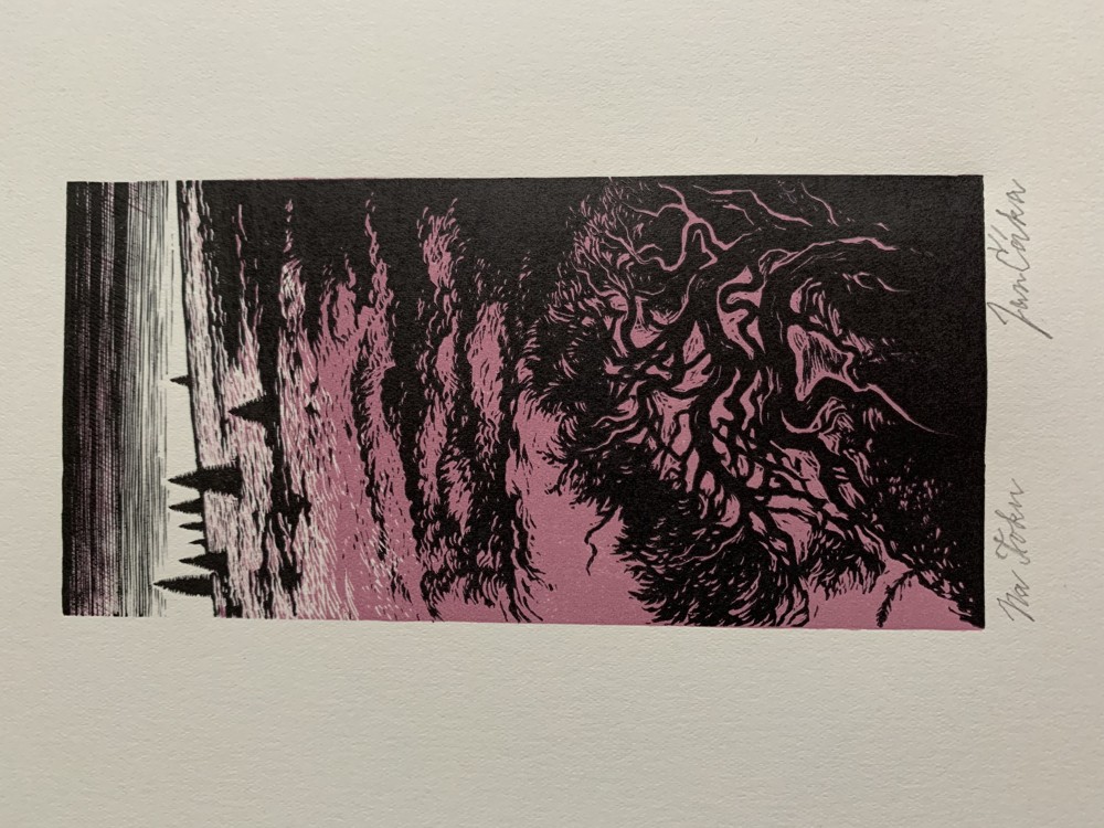 JAN ČÁKA - Na Toku - autorský tisk signováno BRDY