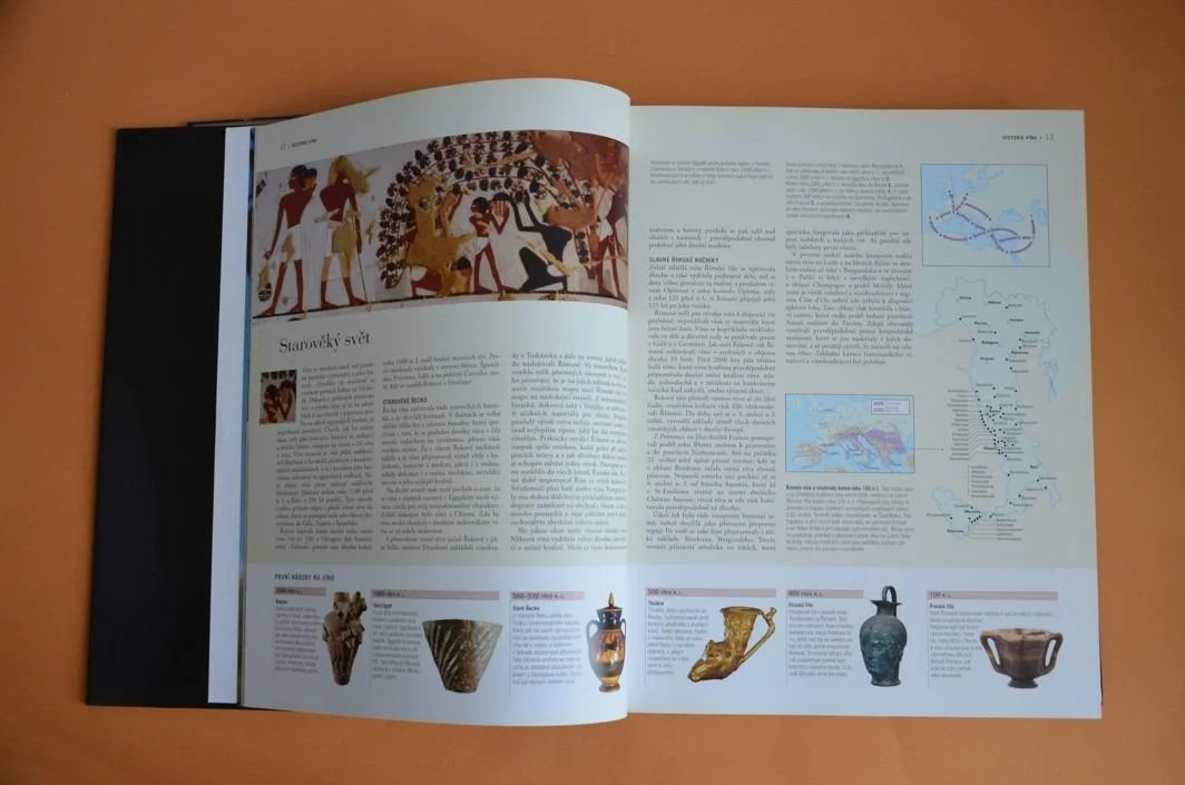 SVĚTOVÝ ATLAS VÍNA (2008)
