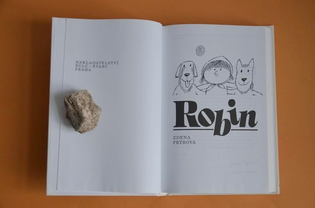 ROBIN Zdena Frýbová, il. Adolf Born (2010) HUMOR
