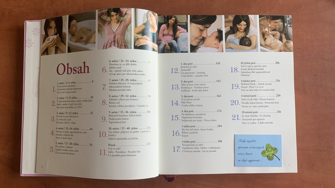 DENÍK NASTÁVAJÍCÍ MAMINKY - Těhotenství, porod a deset měsíců poté (2010) se všemi interaktivními prvky