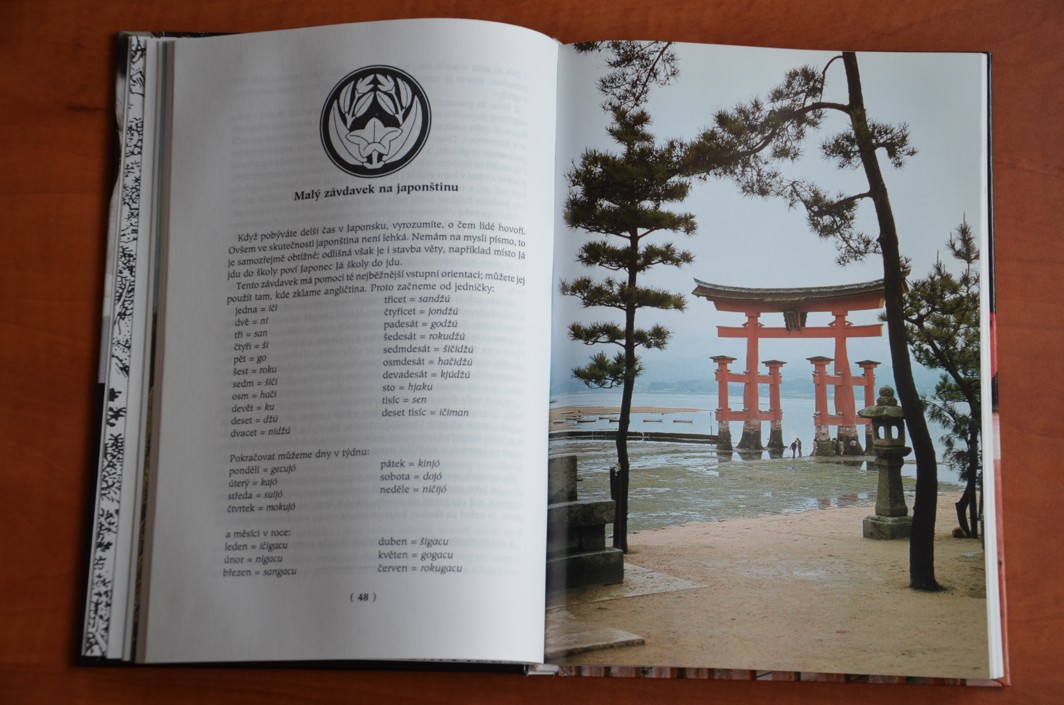 Japonské reflexe
