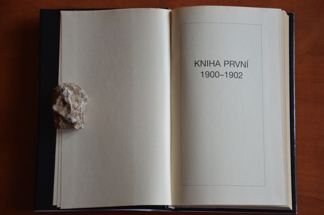 Sbohem, Charleston 1