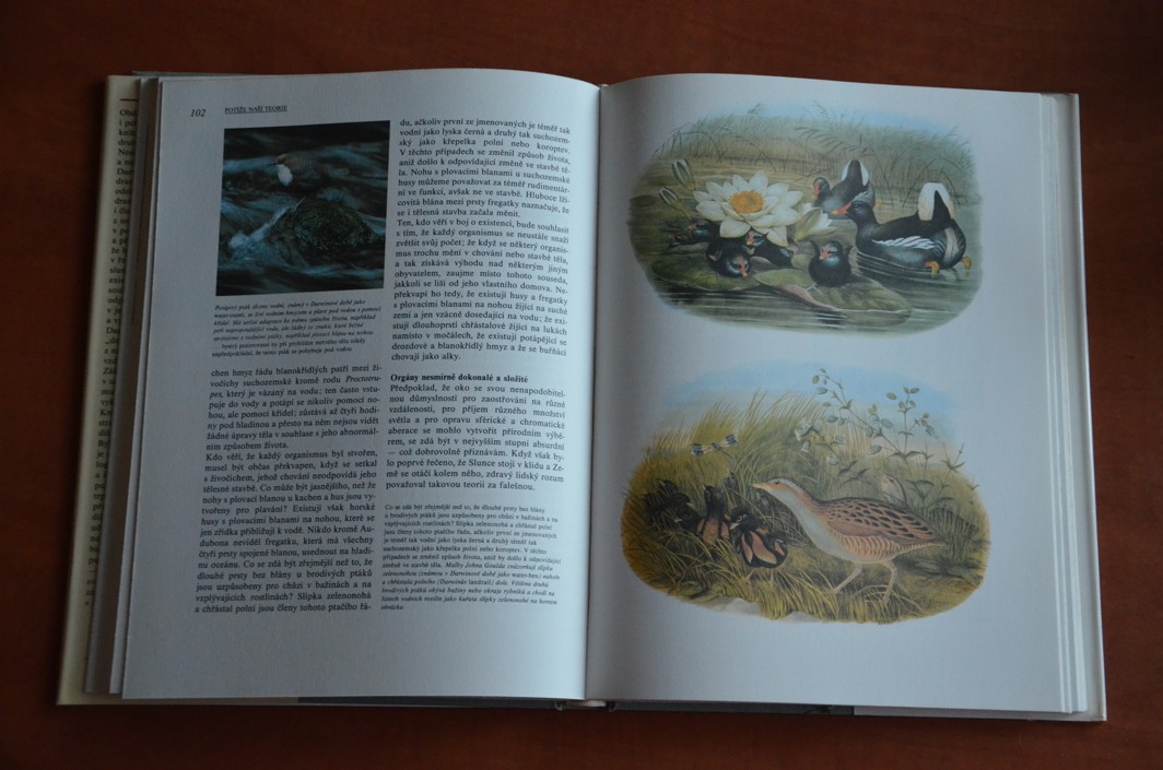 Darwinův původ druhů v ilustracích