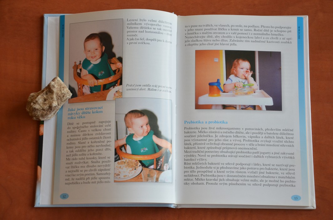 Péče o dítě od kojeneckého do školního věku