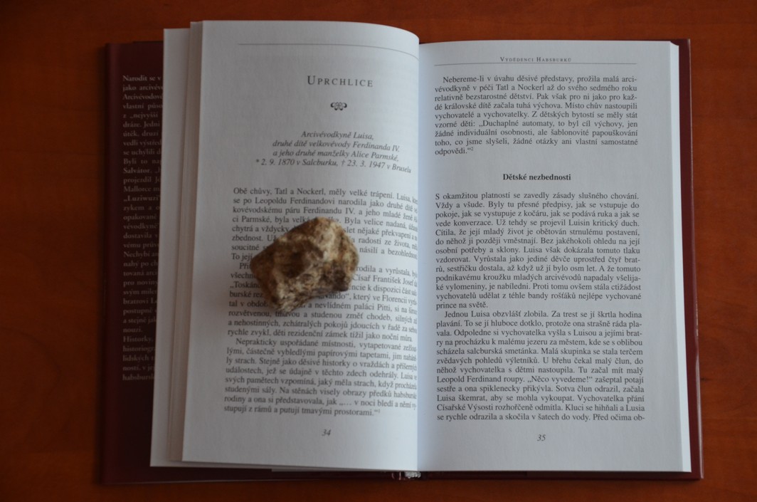 Vyděděnci Habsburků