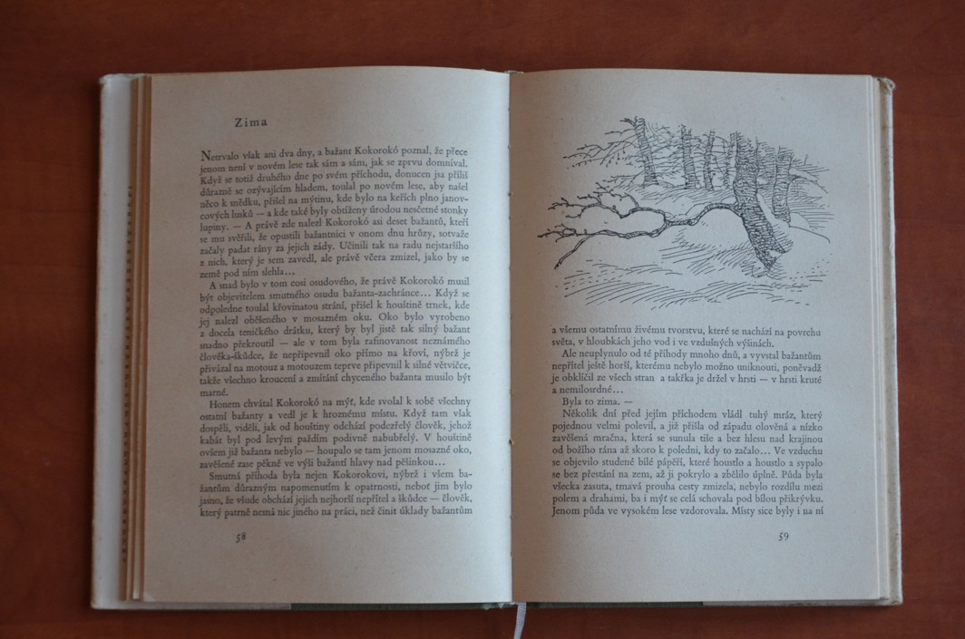 Bažantnice a jiné obrázky z přírody