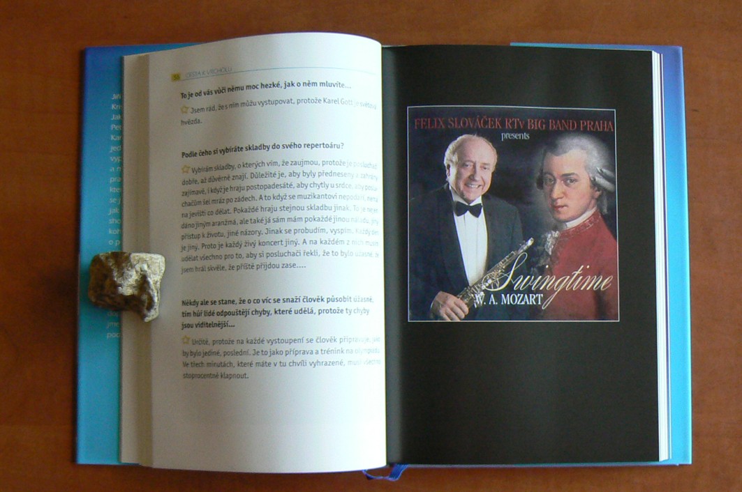 Cesta k vrcholu - Ze zákulisí medií a showbyznysu