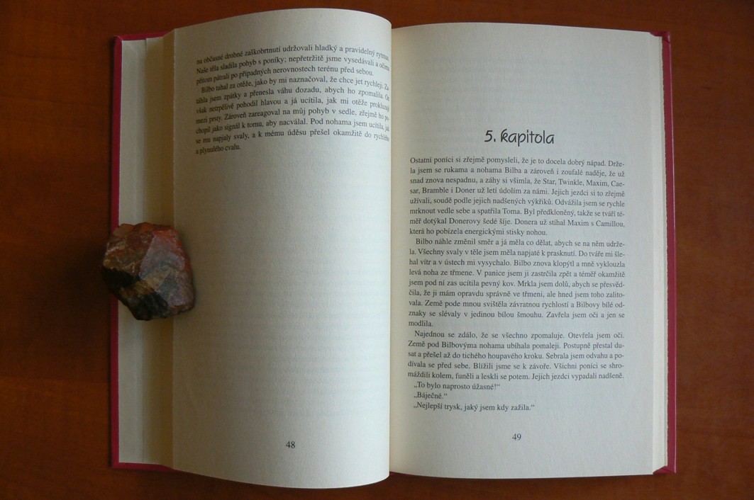 Znovu v koňském sedle