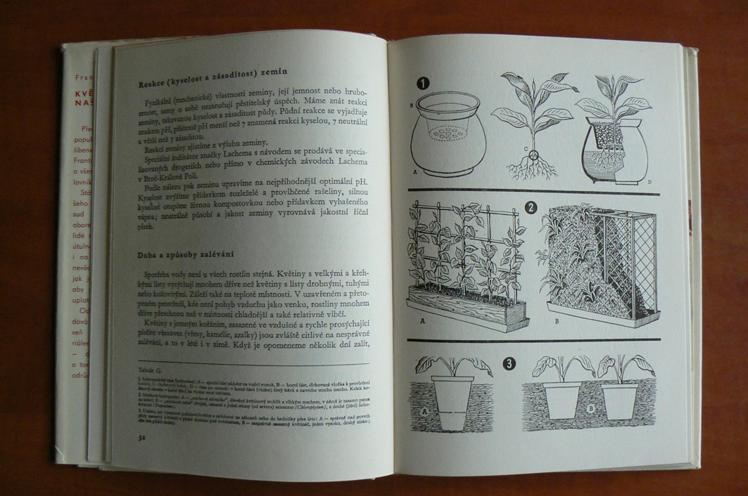 Květiny našich domovů