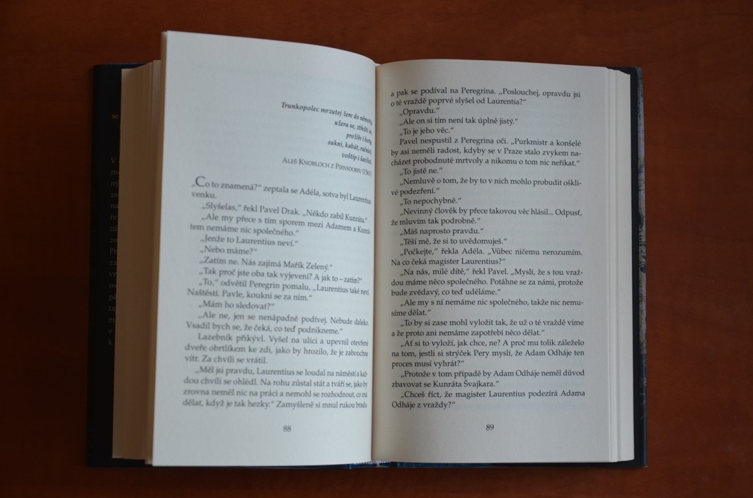 Případ dětinského dědice