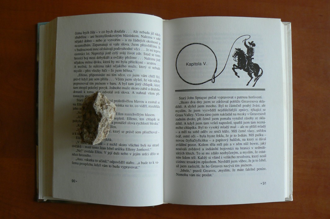 Do posledního muže