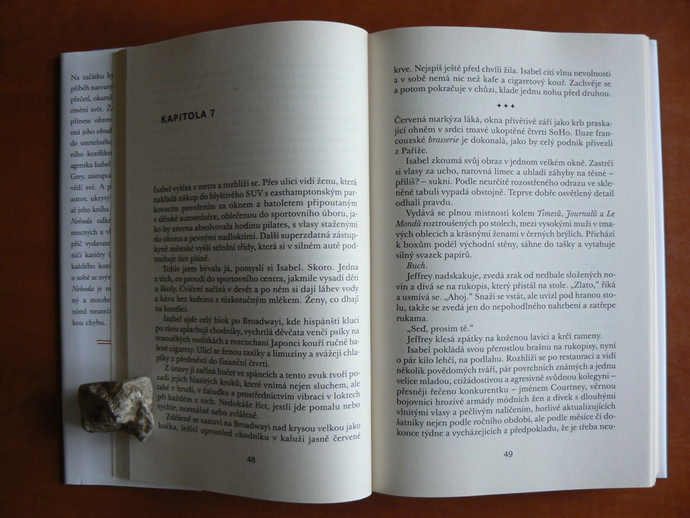 NEHODA - Chris Pavone