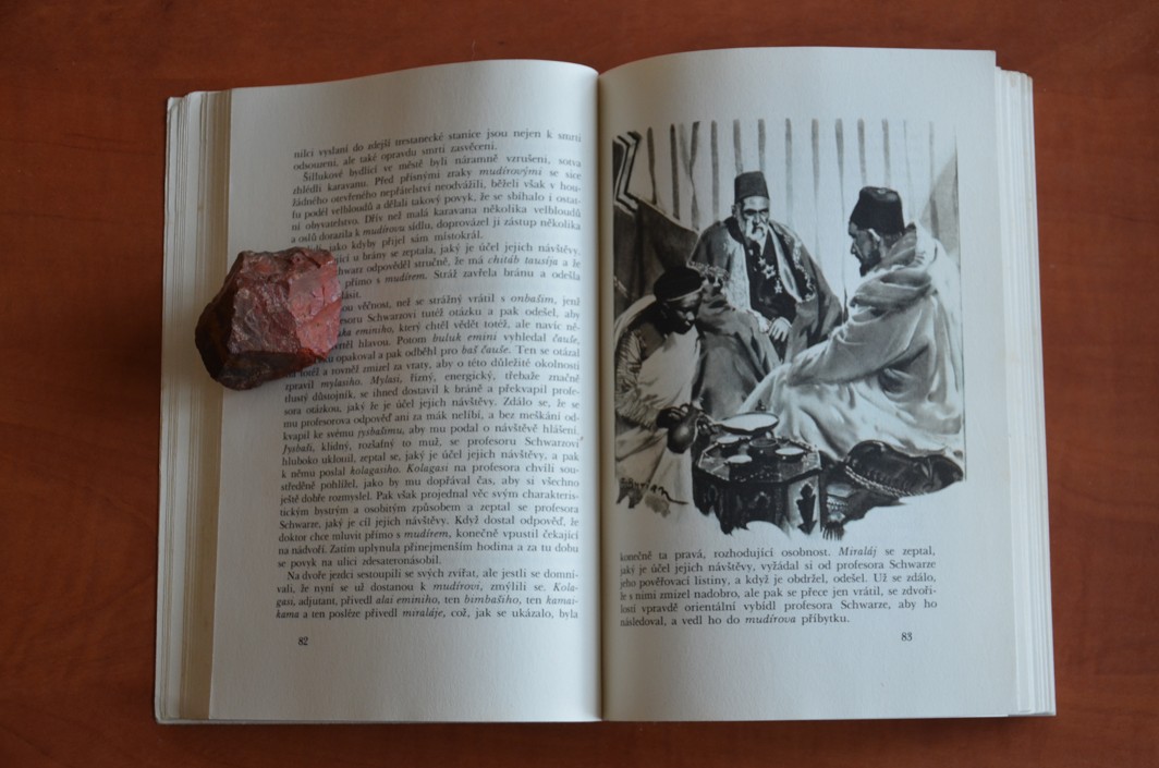 KARAVANA OTROKŮ Karel May ilustrace Zdeněk Burian