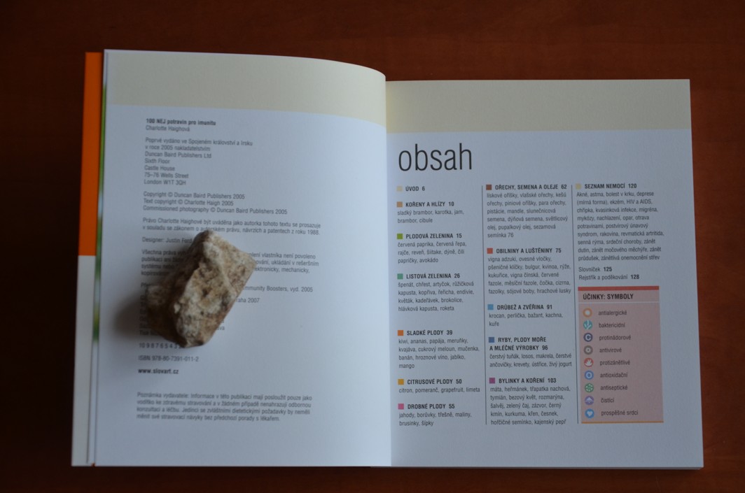 100 NEJ POTRAVIN PRO IMUNITU - Jak si chránit zdraví (2007) jako nová