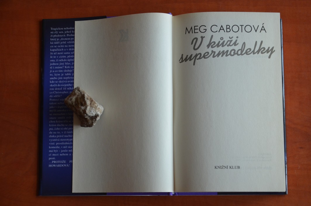 V KŮŽI SUPERMODELKY Meg Cabot (2009)