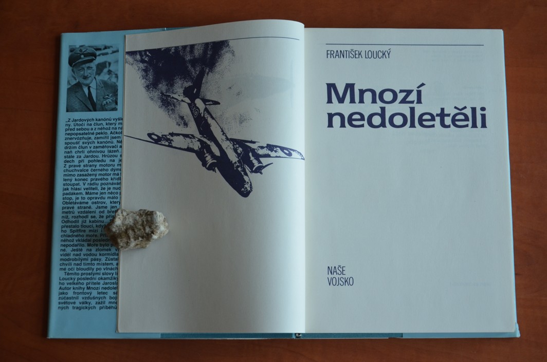 MNOZÍ NEDOLETĚLI František Loucký (1989)