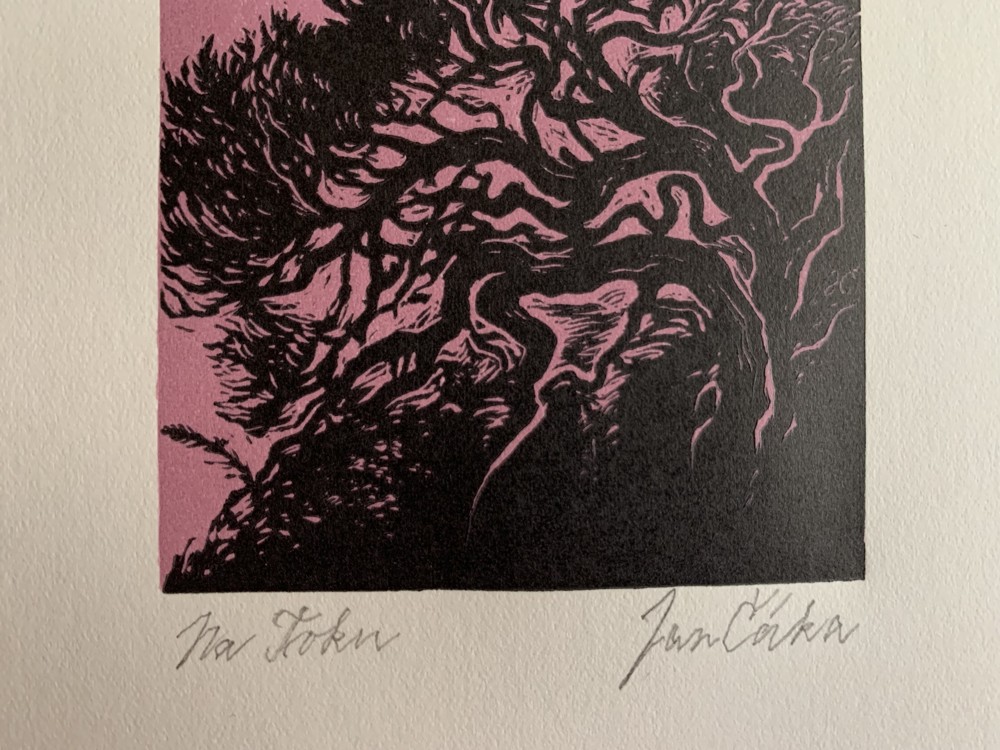 JAN ČÁKA - Na Toku - autorský tisk signováno BRDY