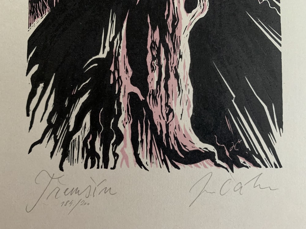 JAN ČÁKA - Třemšín - autorský tisk signováno BRDY