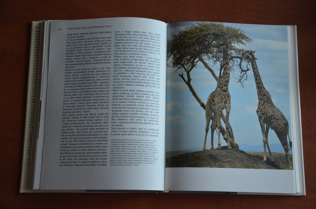 Darwinův původ druhů v ilustracích