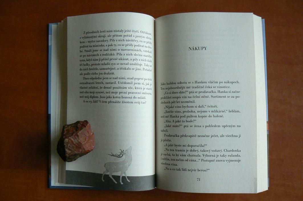 Mouka pro meluzínu a jiné glosy