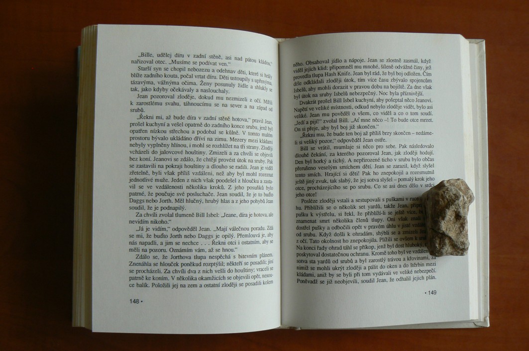 Do posledního muže