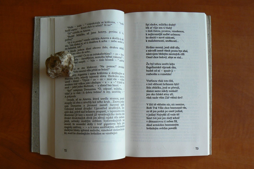 VELKÝ ROMÁN II. Bílá svině