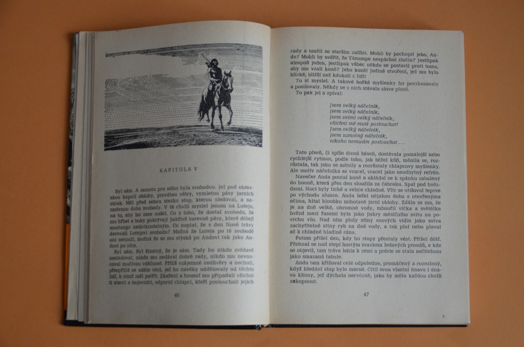 DIVOKÝ ANDA - KOD svazek 109 - Nora Szczepańská (1983)
